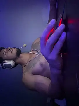 Show de Sanicrt na webcam