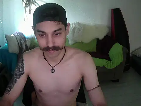 Show webcam de dais456