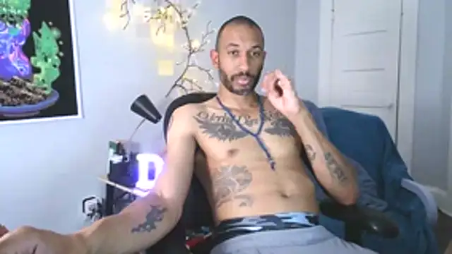 Show webcam de krat0s1