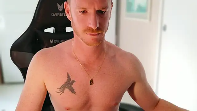 Show webcam de JasonFreeX