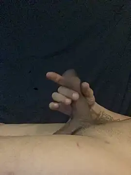 bcthebest Webcam-Show