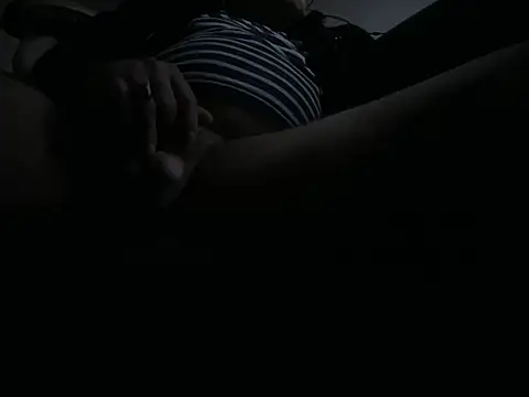Show Webcam de translove