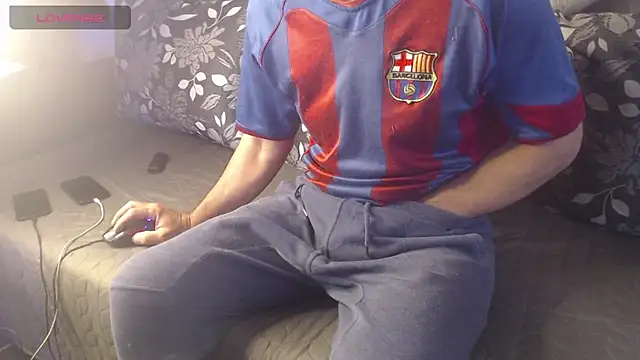 Show webcam de roby_home
