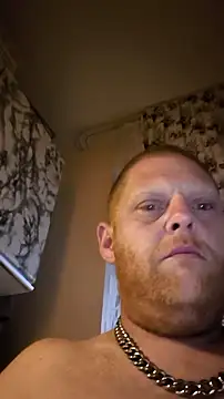Baumhackel Webcam-Show