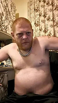 Baumhackel Show Webcam