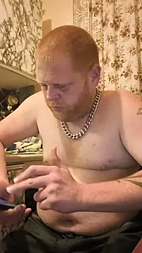Baumhackel Webcam-Show