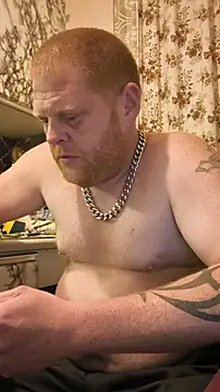 Baumhackel Webcam-Show