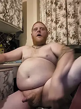 Baumhackel Webcam-Show