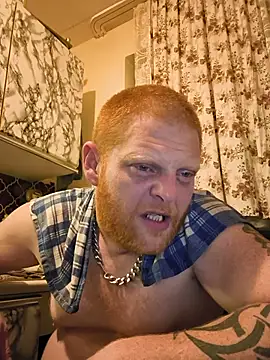 Show de Baumhackel na webcam