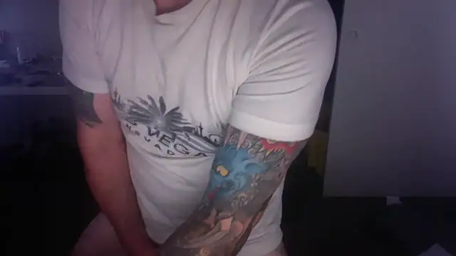 Show webcam de palidin1
