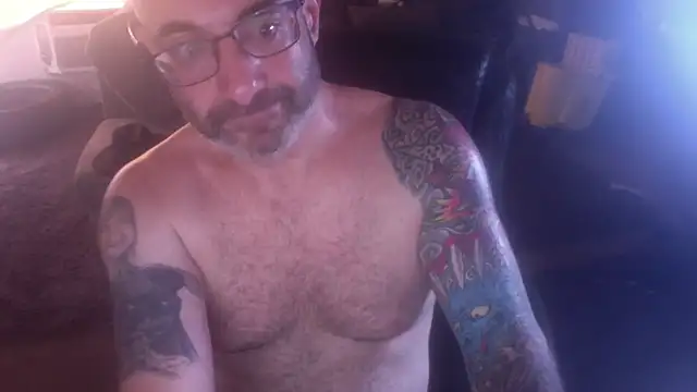 Show webcam de palidin1