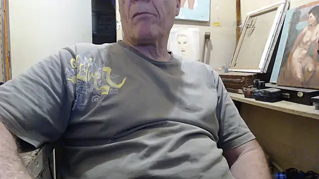 Show webcam de zemm54