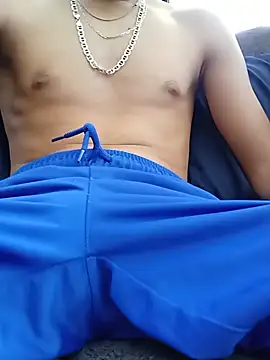 Yanwoods420n Webbikameraesitys