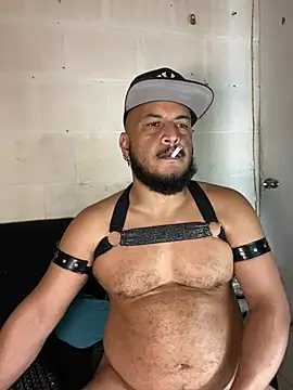 Show webcam de the_master_foal_