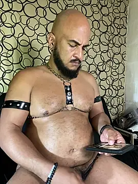 Show Webcam de the_master_foal_