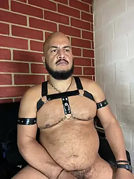 Show webcam de the_master_foal_