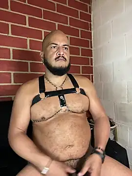 the_master_foal_ 웹캠 쇼