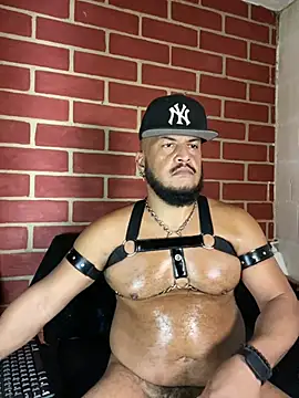 Show modela the_master_foal_ na web-kameri