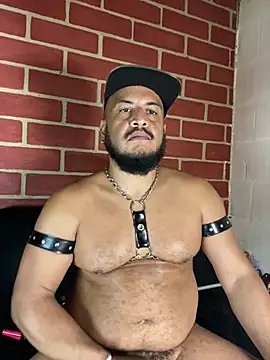 عرض كام the_master_foal_