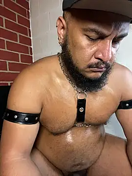 the_master_foal_ 在線直播表演