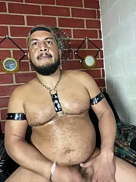 عرض كام the_master_foal_