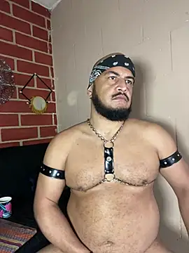 عرض كام the_master_foal_