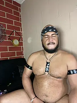 عرض كام the_master_foal_