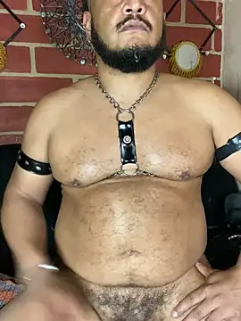 Show Webcam de the_master_foal_