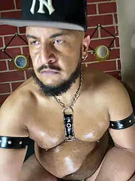 Show modela the_master_foal_ na web-kameri
