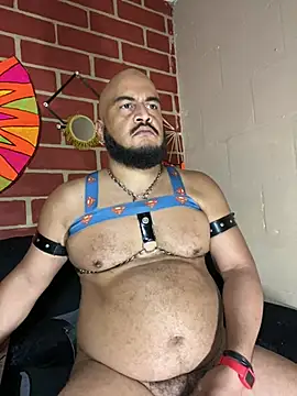 Show webcam de the_master_foal_
