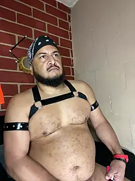 عرض كام the_master_foal_