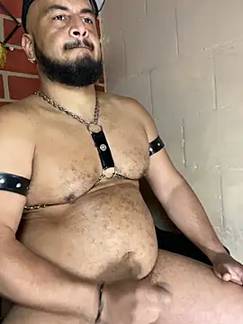 Show webcam de the_master_foal_