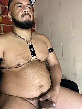عرض كام the_master_foal_