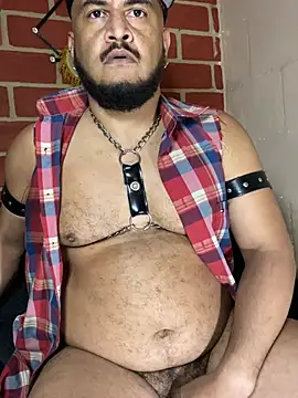 Show webcam de the_master_foal_