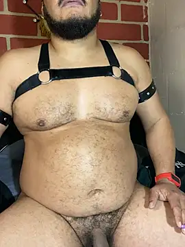 Show Webcam de the_master_foal_