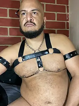 the_master_foal_ 网络视讯表  演