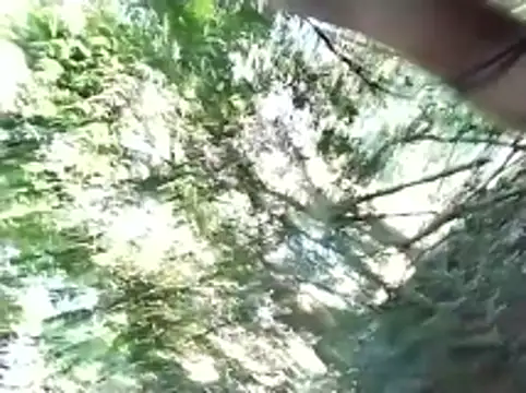 alc2680 Show in webcam