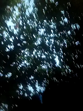 perfectmatch_'s Webcam Show