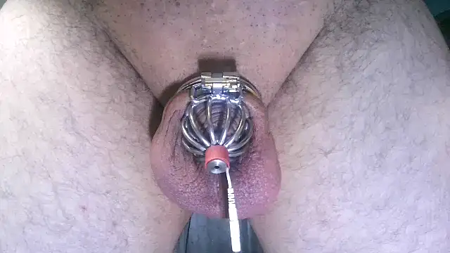 Thatdomguy2595のウェブカメラショー