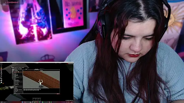 Show webcam de Annee23