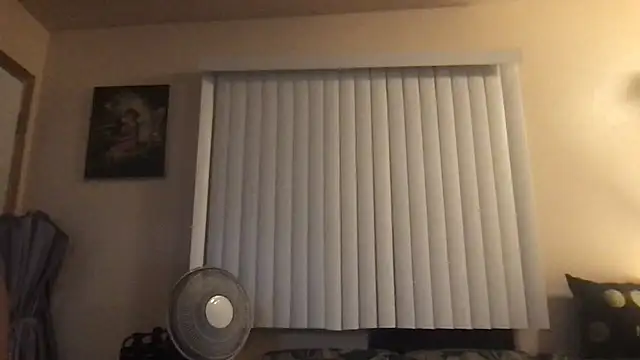 ShineyQuinn Webcam Show