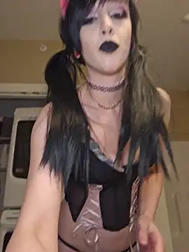 AmethystFoxx 웹캠 쇼