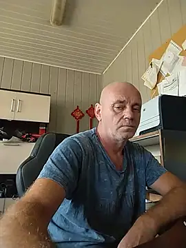 Pokazy przed kamerką – wilkalfa