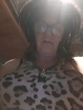 Subforoldern Webbikameraesitys