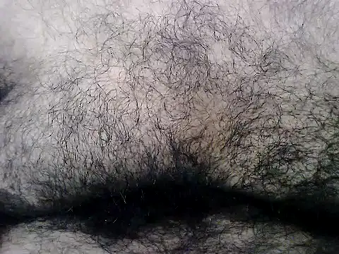 הופעת וובקאם של sura11311