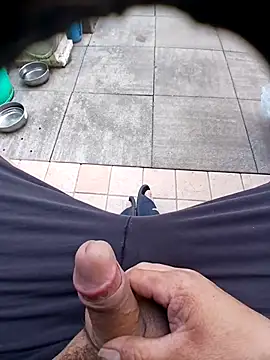 Webkamerová show 74bob