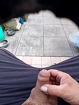 74bob – webcam-show