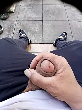 Pertunjukan Kamera Web 74bob