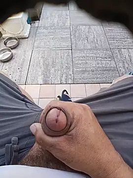 Show Webcam de 74bob