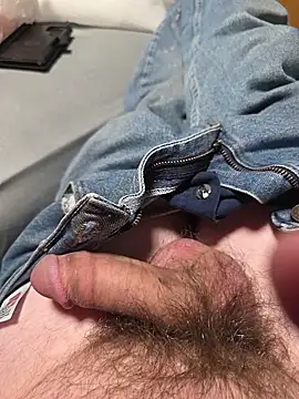 BAM9412 Show in webcam